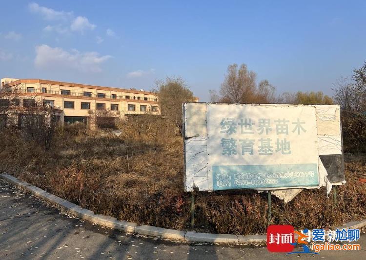 商業(yè)版圖涉30余家公司 二號(hào)人物在逃？