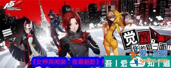 女神異聞錄夜幕魅影知識(shí)怎么提升 知識(shí)提升攻略？