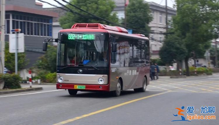 停運停航？
