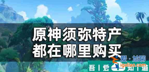 原神須彌所有商人在哪里 具體一覽？