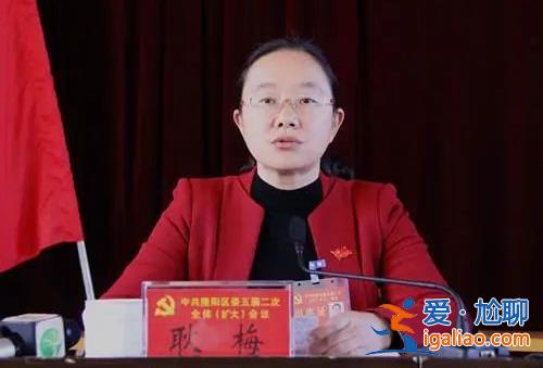 副省級趙金云、正廳級包東紅先后被查 政壇還有這些落馬夫妻檔？