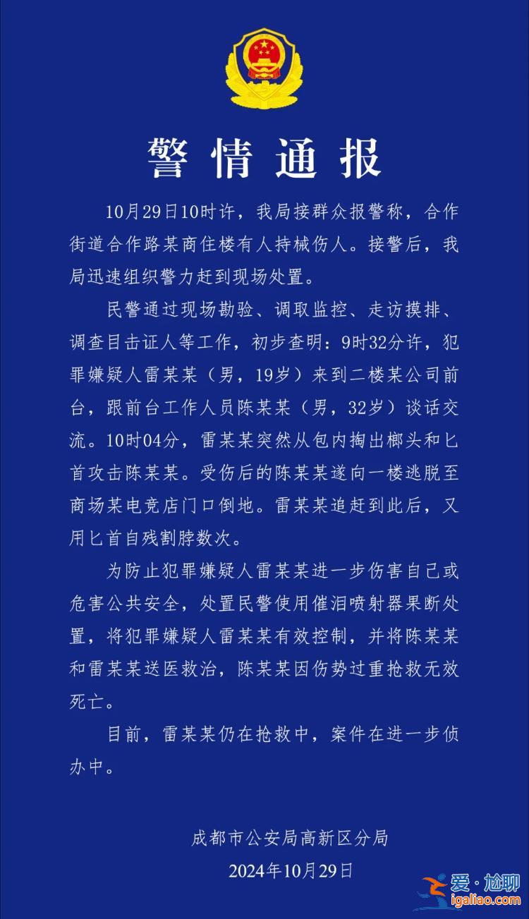 男子持械傷人事件不存在克扣工資問題 兩人傳謠被拘十日？