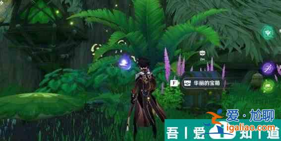 原神須彌蘑菇枯萎了怎么辦 具體一覽？