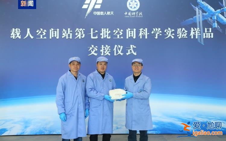 約34.6公斤！神十八帶回“太空特產(chǎn)” 涉及28項(xiàng)科學(xué)實(shí)驗(yàn)項(xiàng)目？