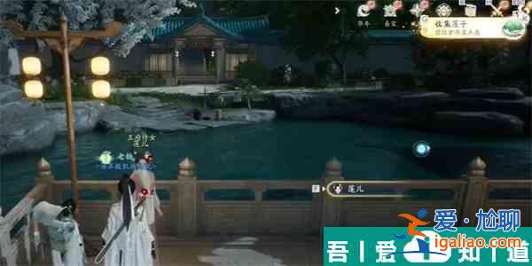 射雕手游蓮子在哪里收集 射雕手游蓮子收集方法？