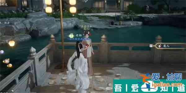 射雕手游蓮子在哪里收集 射雕手游蓮子收集方法？
