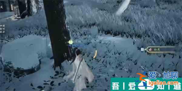 射雕松果一成就怎么完成 射雕松果一成就攻略？