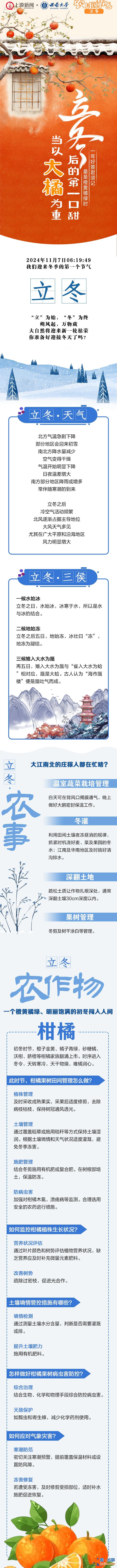 農(nóng)時(shí)說(shuō)節(jié)氣｜立冬后的第一口甜 當(dāng)以“大橘”為重？