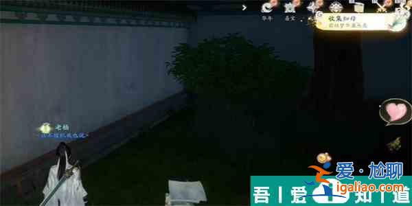 射雕知母怎么收集 射雕知母收集攻略？