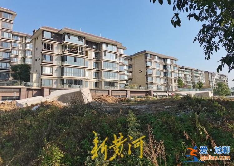 豪砸百億、未批先建的“一場豪賭”？