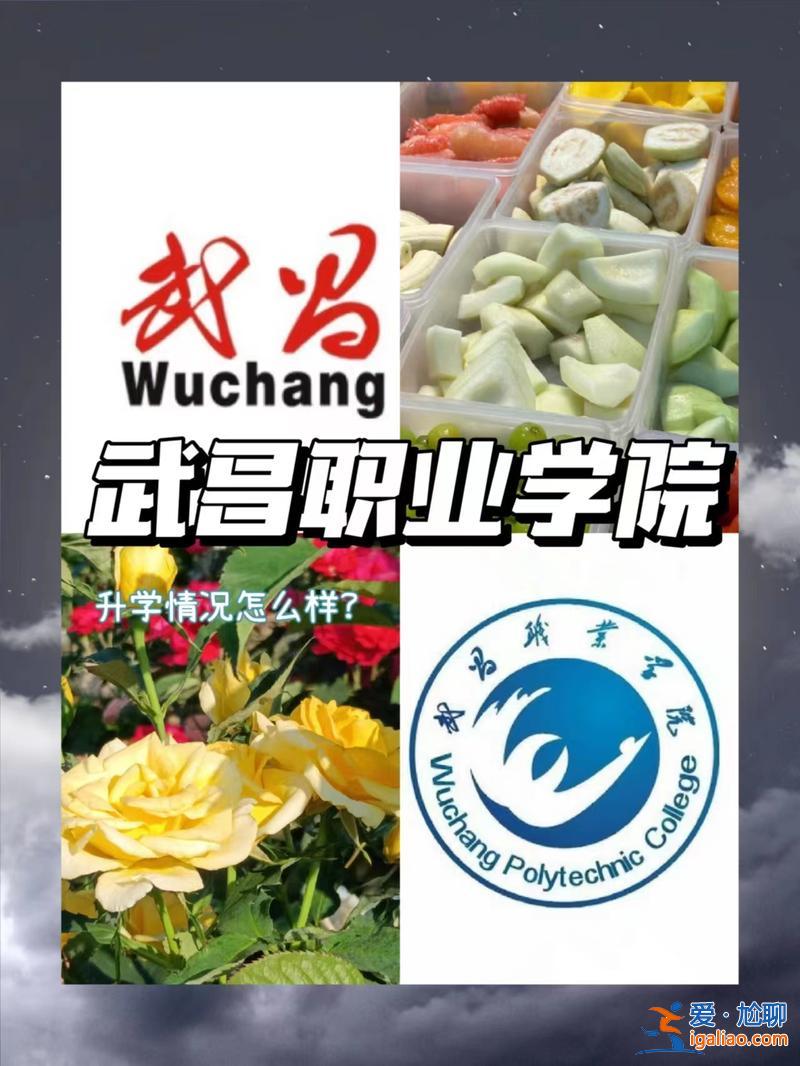 武昌職業(yè)學(xué)院對口升學(xué)專業(yè) 武昌職業(yè)學(xué)院每個專業(yè)的錄取的分數(shù)相同嗎？