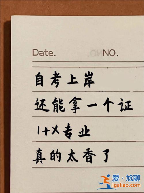 專升本上岸詞語(yǔ)(上岸是指的上本科線嗎)？
