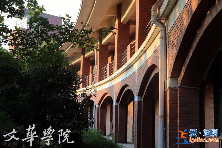 2023舞蹈專升本(2023舞蹈翻跳盛典怎么參加)？