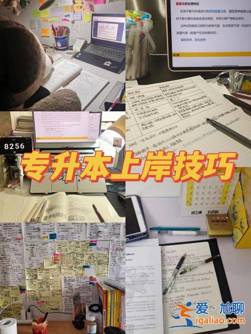 專升本上岸孤獨(dú)？剛上?？拼笠桓杏X很孤獨(dú)怎么辦？