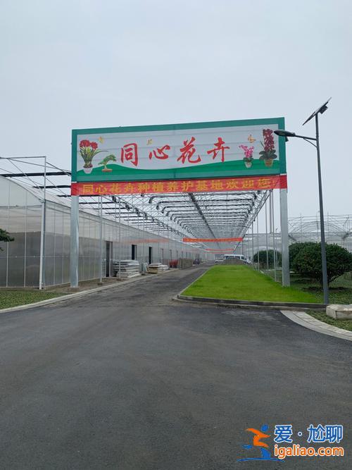 夏溪中學(xué)升學(xué)率排名，全國(guó)花卉種植基地排名？