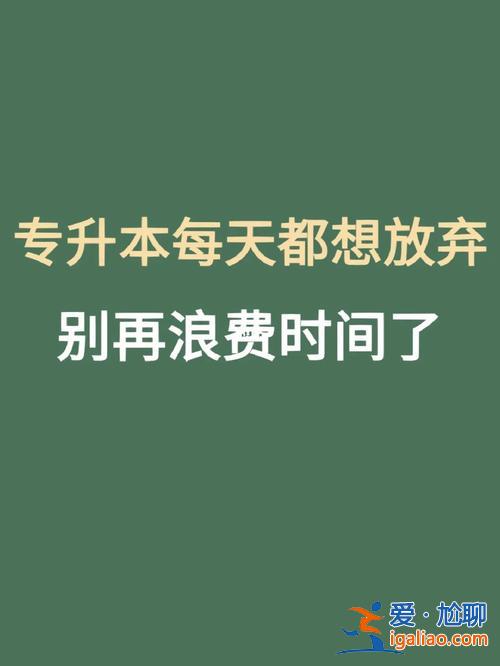我是專升本，專升本之后，你們都去做了什么？