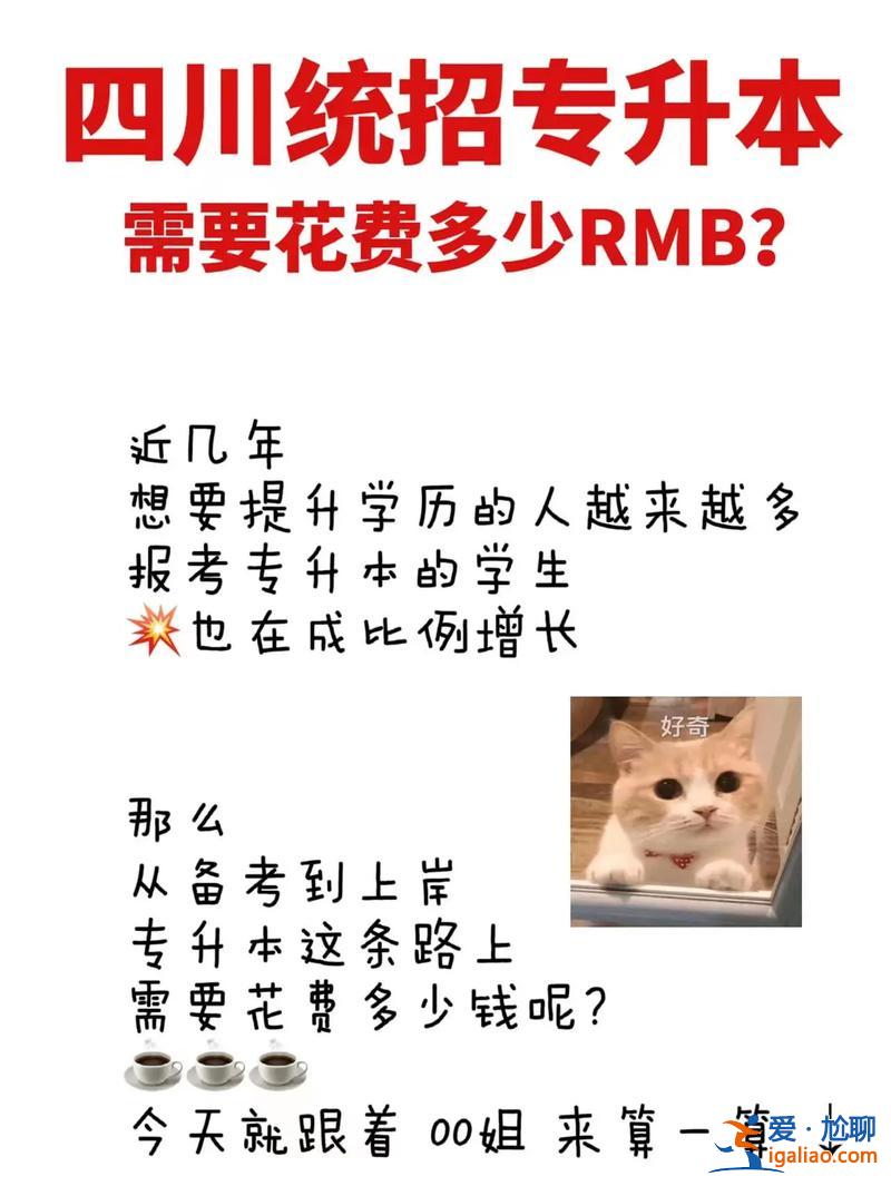 專升本文員？專升本費(fèi)用多少？