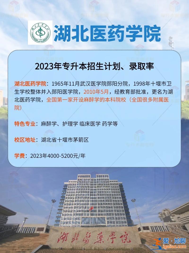 醫(yī)院要專升本？一些醫(yī)院校園招聘注明不要專升本學生，大家怎么看？
