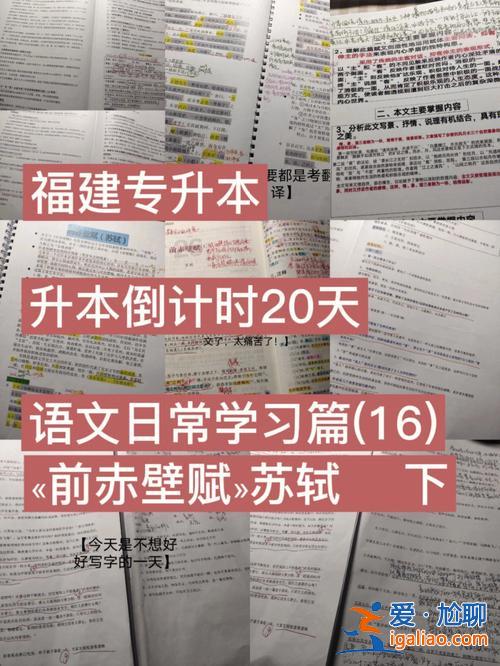 專升本帶背？專升本前赤壁賦要背嗎？