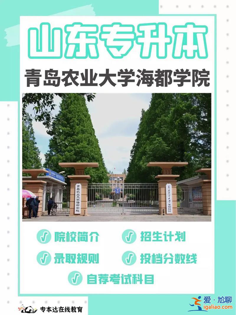 國辦專升本，青島康復大學招專升本嗎？