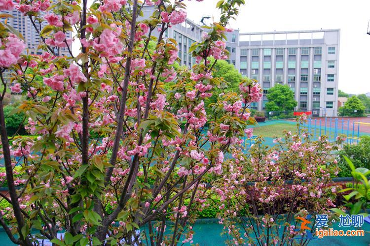 醴陵陶瓷學(xué)校對(duì)口升學(xué)部？醴陵陶瓷煙花職業(yè)學(xué)校是高中嗎？