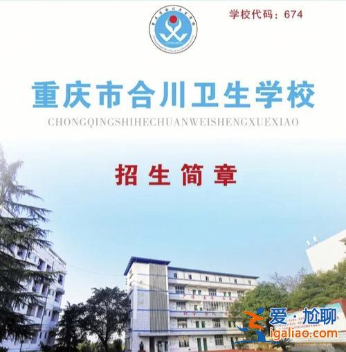 合川區(qū)提升學(xué)歷的機(jī)構(gòu)，合川有那些衛(wèi)校？