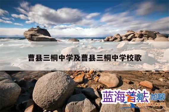 園三升學(xué)率 三桐的升學(xué)率在全省第幾？