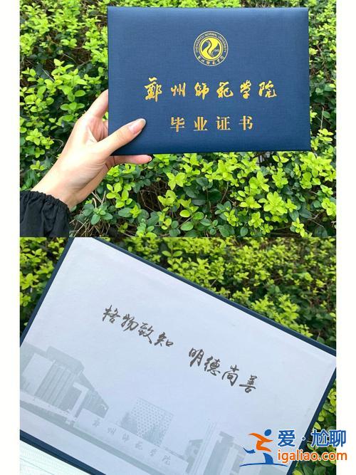 師大專升本吧，專升本鄭州師范好不好？