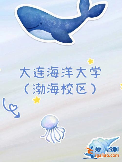 大連海洋大學(xué)升學(xué)途徑分析，大連海洋大學(xué)航海技術(shù)怎樣好就業(yè)大連海洋大？