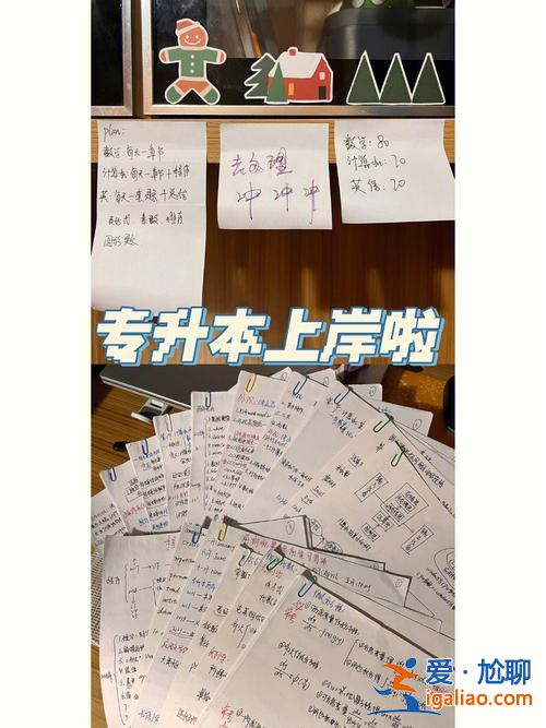 河北專升本吧(專升本上岸是什么意思)？