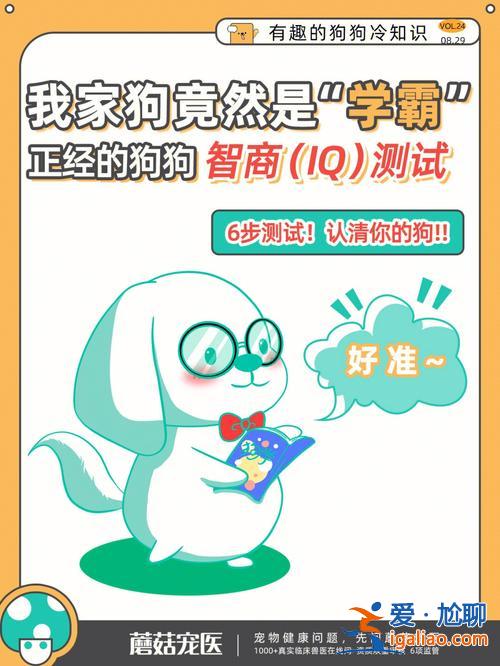 哪些國家升學(xué)要測(cè)智商的 你知道哪些轟動(dòng)一時(shí)的懸案？