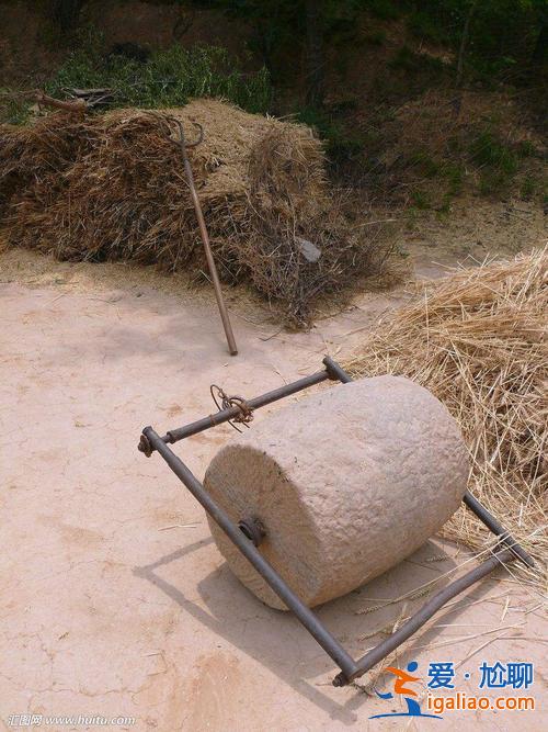 提升學(xué)業(yè)的石頭 為什么農(nóng)民種的麥子要用石頭來滾？