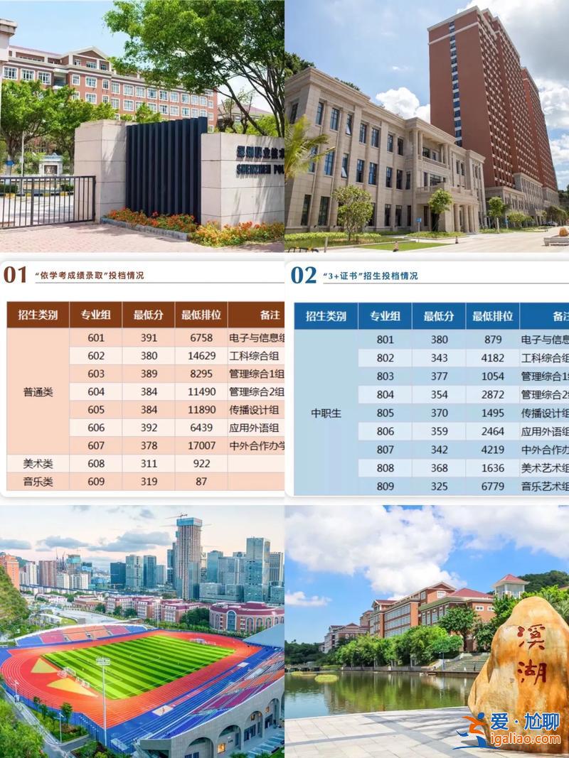寶安專升本(2023深職院什么專業(yè)能升本)？