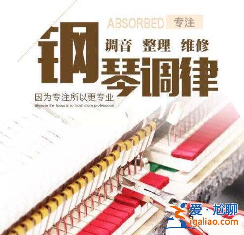 鋼琴專升本？鋼琴調(diào)律專升本需要考什么？