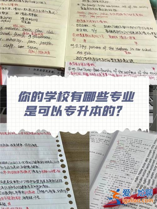 深信專升本？深信院哪些專業(yè)可以專升本？