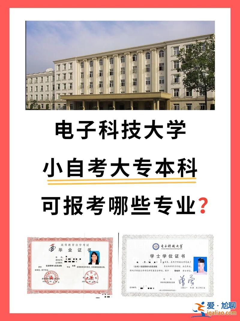 成電本科升學(電子科技大學2+2是什么意思)？