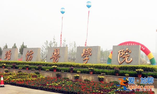 濰坊醫(yī)學(xué)院專升本專業(yè) 山東升格本科的醫(yī)學(xué)院？