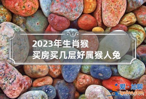 猴人兔年升學(xué)？兔年可以建房嗎？