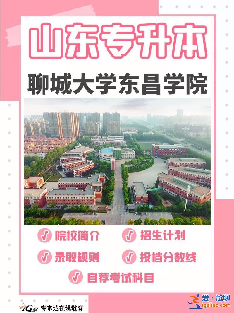 聊大專升本(聊城大學成考專升本好錄取嗎)？