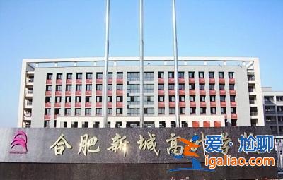 經(jīng)濟(jì)生活合肥高升學(xué)校(合肥高升學(xué)校是好是壞)？