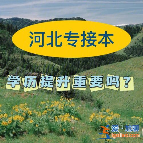 高三迷茫怎么提升學(xué)歷？學(xué)歷低、情商低，該怎么提升自己？