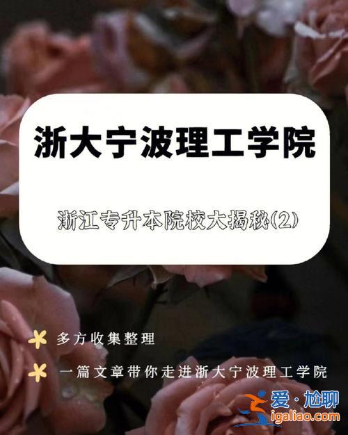 浙大遠(yuǎn)程教育專升本 浙江大學(xué)遠(yuǎn)程繼續(xù)教育學(xué)院的網(wǎng)絡(luò)教育是屬于什么學(xué)歷類別？